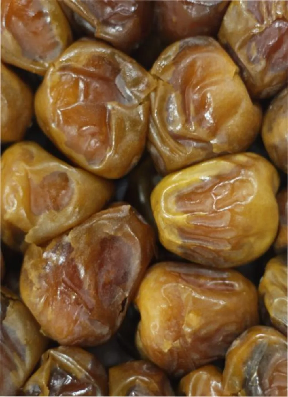 Kurma Sukari di Depok: Harga, Grade, Rasa, dan Panduan Beli Terlengkap