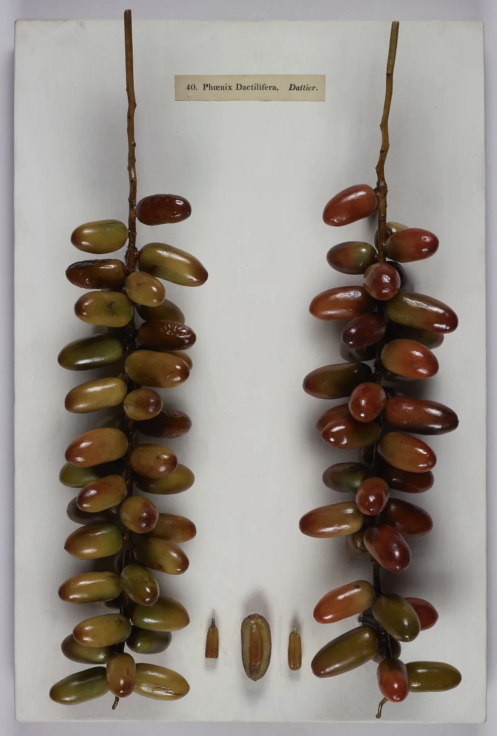 Dates for Breaking the Fast in Depok: Best Choices & How to Enjoy Them