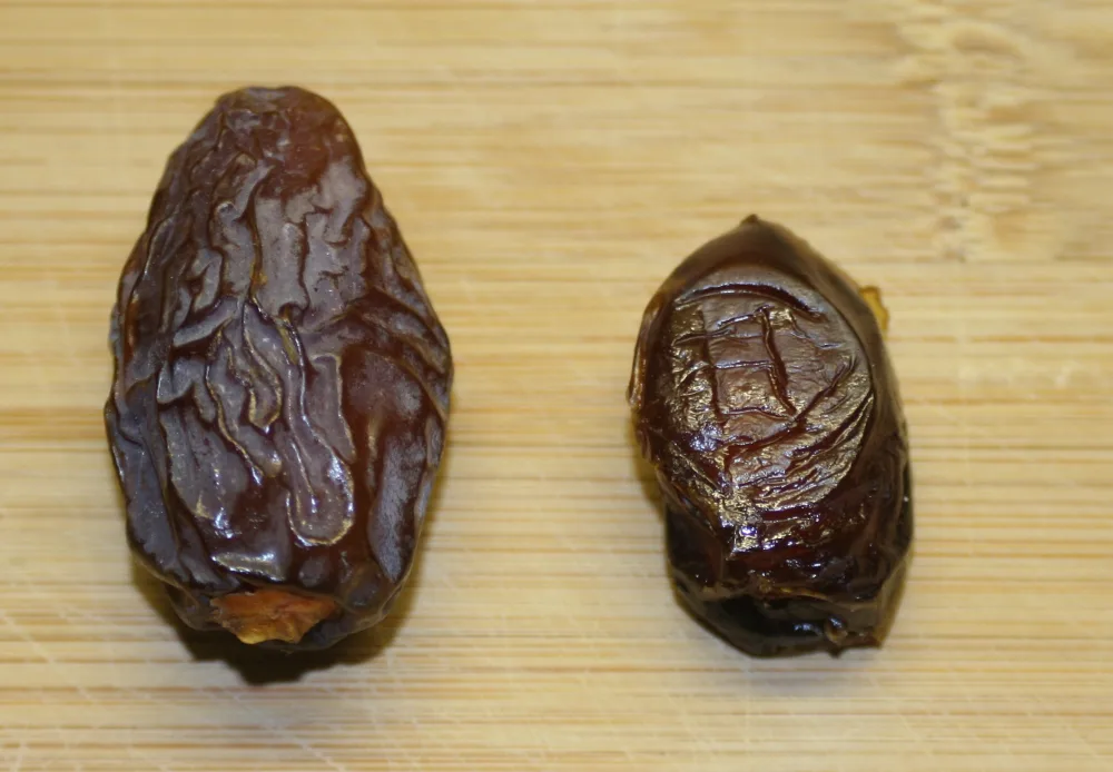 Kurma Mariami Iran